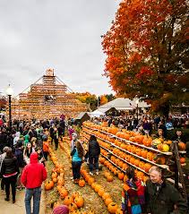 Loads Of Pumpkins